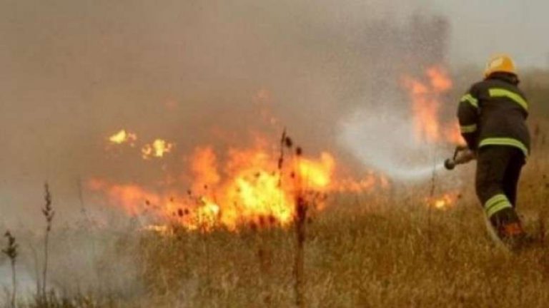 Përfshihen nga zjarri 60 ari me grurë në Fushë Kosovë