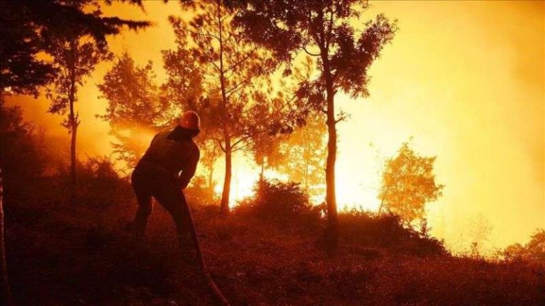 Zjarret përfshijnë Turqinë, 5 viktima dhe 44 të plagosur