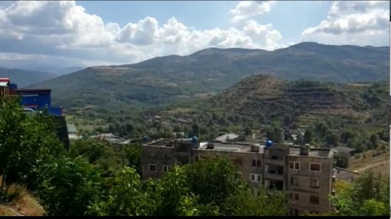 Lirohen katër çekët që u kapën duke fotografuar në uzinën e Poliçanit