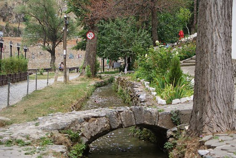 Janë larguar dy drunjët e rrezikshëm në Marash të Prizrenit