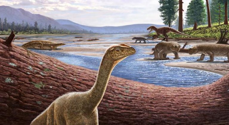 Zbulohet dinozauri më i vjetër në Afrikë, i para 230 milionë vjetësh