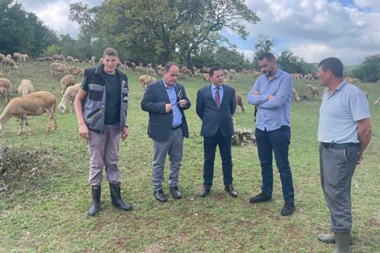 Kryetari i Malishevës viziton dy ferma të deleve