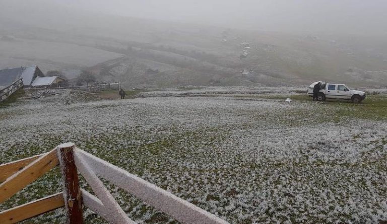 Arrin bora e parë në Kosovë