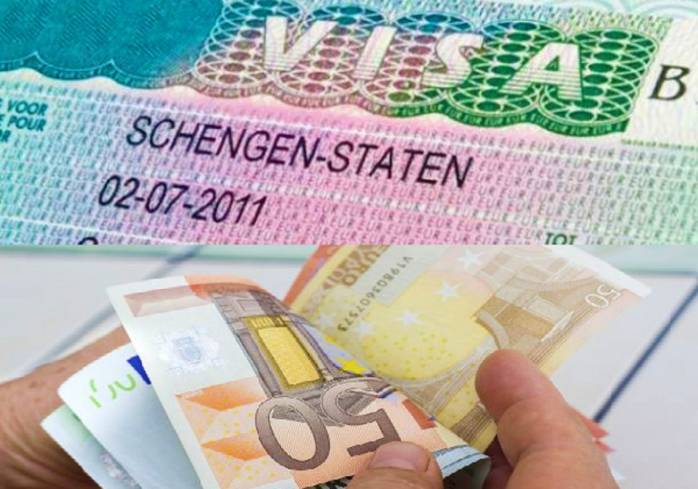 Ngritet aktakuzë ndaj katër personave që fituan mbi 660 mijë euro duke mashtruar me viza