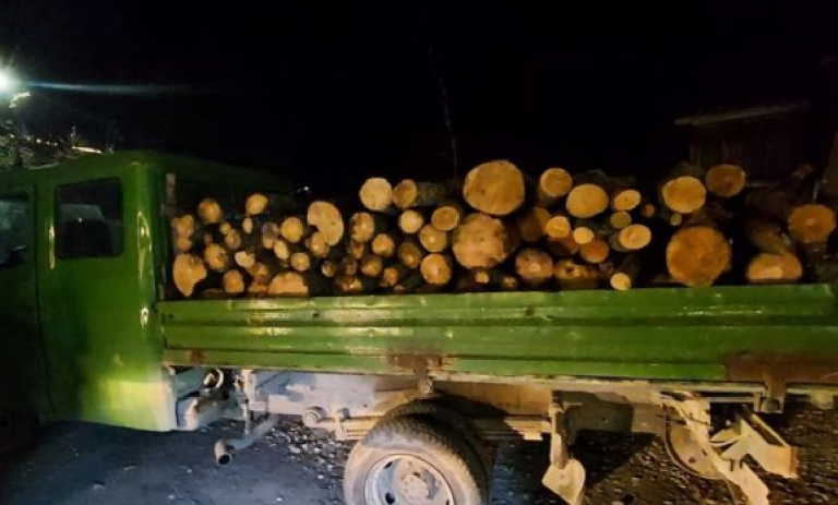 Po transportonin drunj ilegalisht, ndalohen dy persona të dyshimtë në Shtërpce