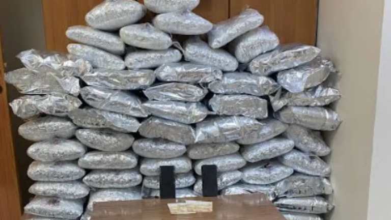 Sekuestrohen 74 kg kanabis në kufirin greko-shqiptar, arrestohet 34-vjeçari