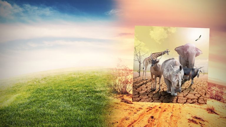 Ngrohja globale paralajmëron ‘çudira’ të motit