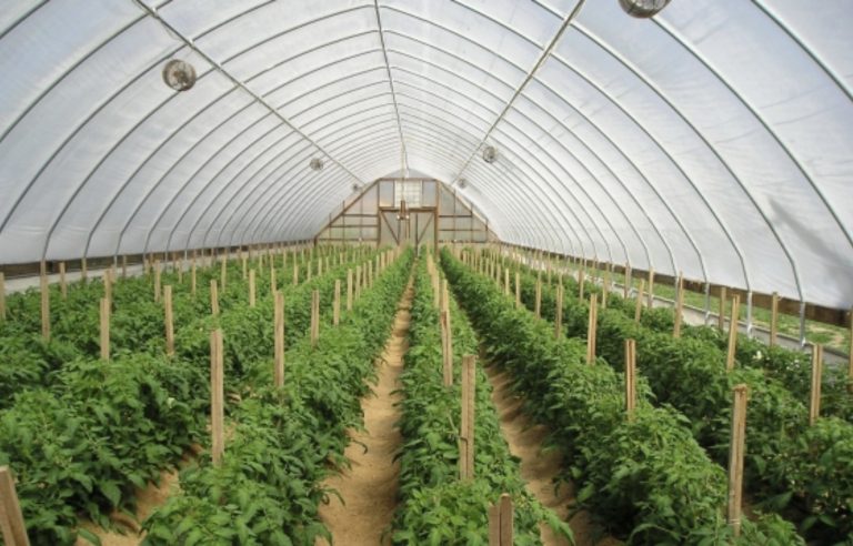 Thirrje për aplkim të fermerëve të komunës së Prizrenit, për subvencione të folies plastike për serra