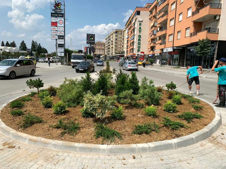 Mbillen bimë dekorative në zona të ndryshme të Prizrenit