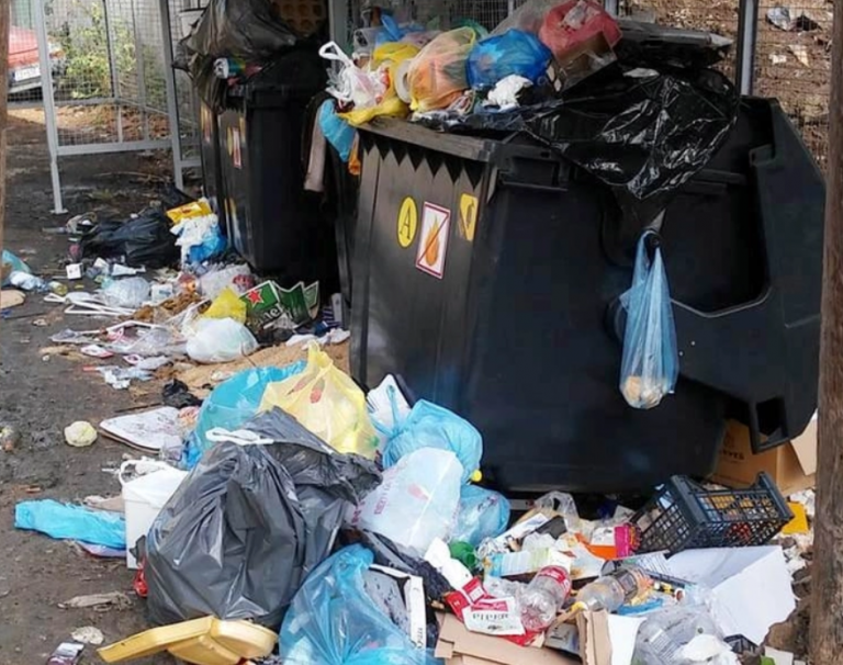 Rekomandohet vendosja e kamerave afër kontejnerëve të bërllogut