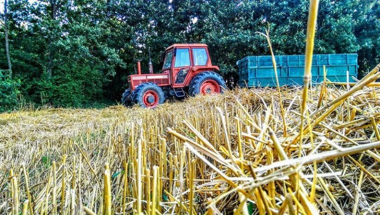 Bujqit ankohen se nafta u shtrenjtua para nisjes së sezonit të lavrimit