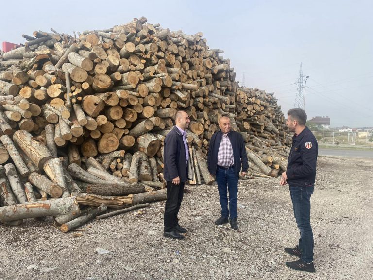 Nga nesër, DPMS në Prizren shpërndanë vërtetime për furnizim me dru për kategoritë e dala nga lufta dhe familjet skamnore