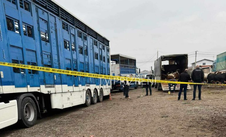 Gjendja e të plagosurve në tregun e kafshëve në Prizren, jep detaje shefi i emergjencës Hekuran Veçgishti