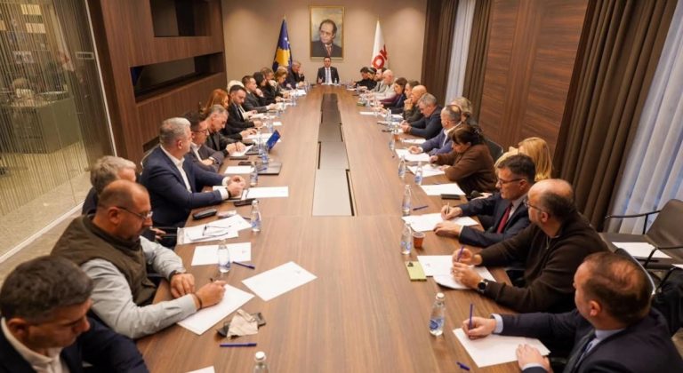 LDK: Draftstatuti përbën rregullim autonom politik, është pasojë e politikave të gabuara të Kurtit