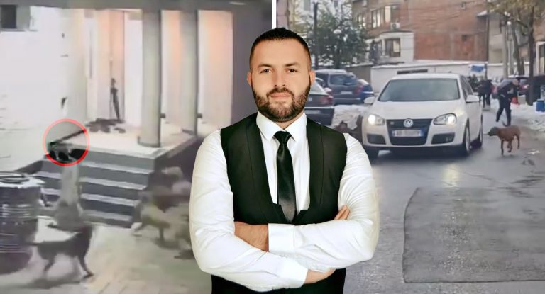 Kuvendari Hoxhaj: Banorët e lagjes “Bylbyldere” në hall me qentë endacak