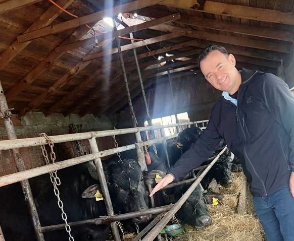 Peci: Javën tjetër shpallet thirrja për aplikim në Programin për Pagesa Direkte, për buallicat dyfish rritje të mbështetjes financiare