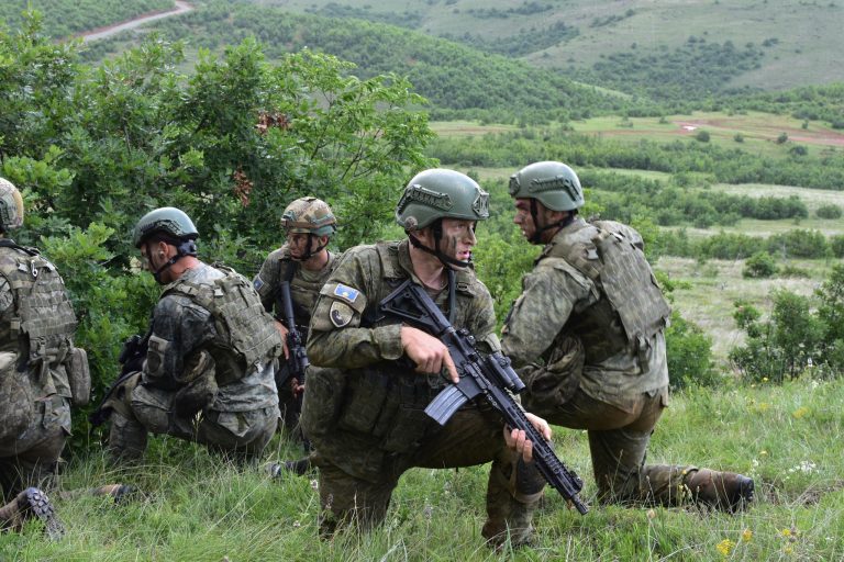 Validohen kompanitë në ushtrimin fushor (UF) ‘’Arow Wolf 24’’