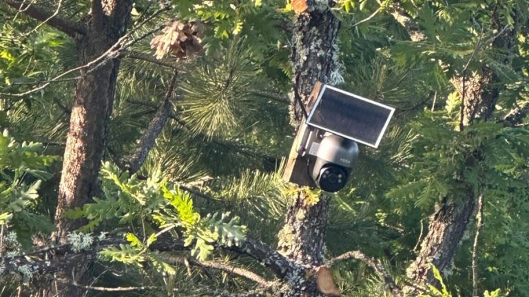 Policia gjen kamera të vendosura për vëzhgimin rrugëve në kufirin mes Kosovës dhe Serbisë, arrestohet një person