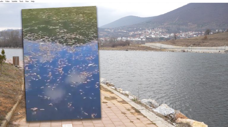 Ngordhin peshqit në Liqenin e Breznës, banorë kërkojnë reagimin e institucioneve