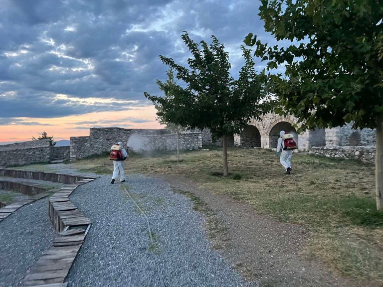 Vazhdon procesi i dezinsektimit në qytetin e Prizrenit dhe zonat periferike