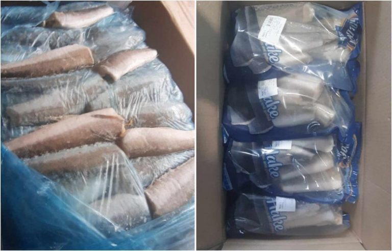 AUV asgjëson 21 ton peshk me parazit