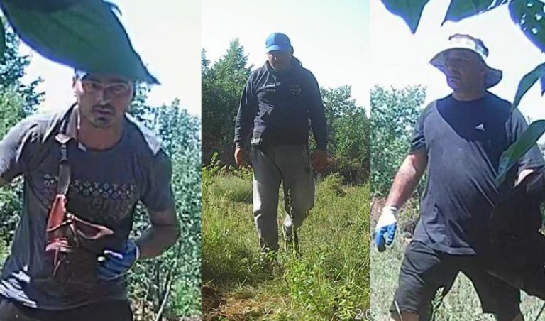 Lajmërojeni menjëherë policinë nëse i shihni këta 3 persona