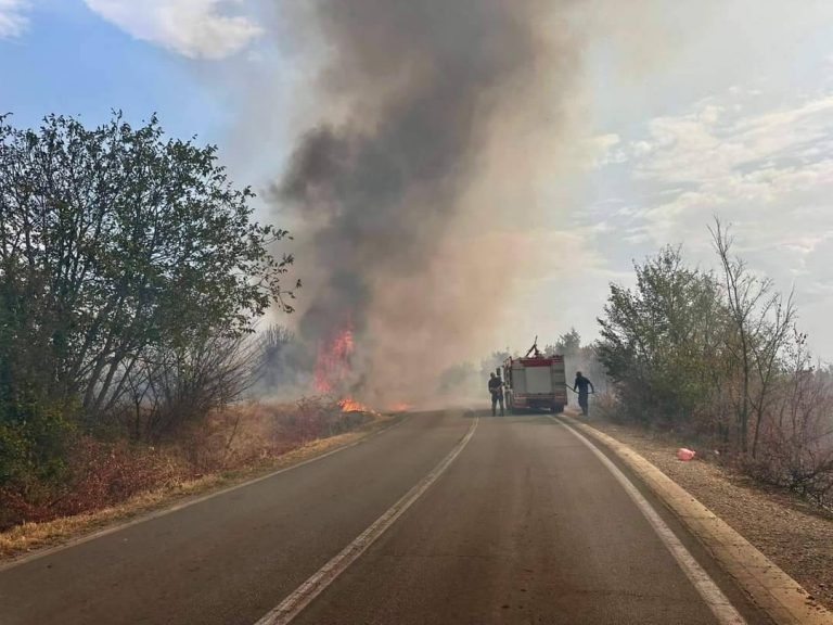 Digjen rreth 10 hektarë pronë në Zoqishtë të Rahovecit, Policia po heton rastin