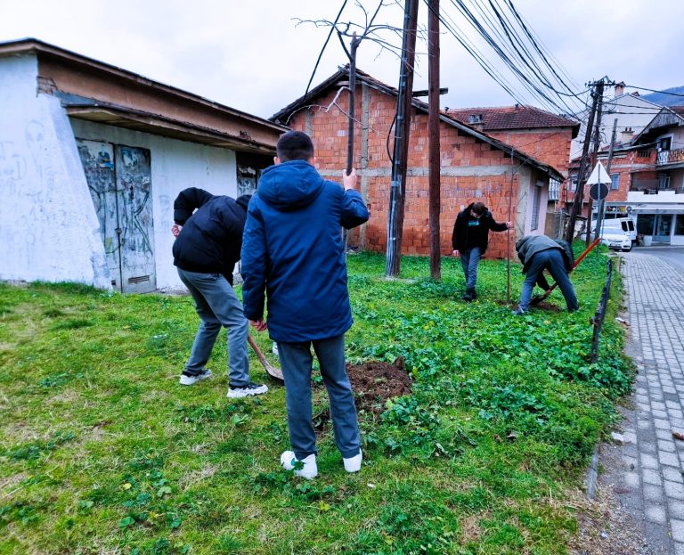 Hapësira publike skaj rrugës “Sylejman Vokshi” në Prizren pasurohet me fidanë