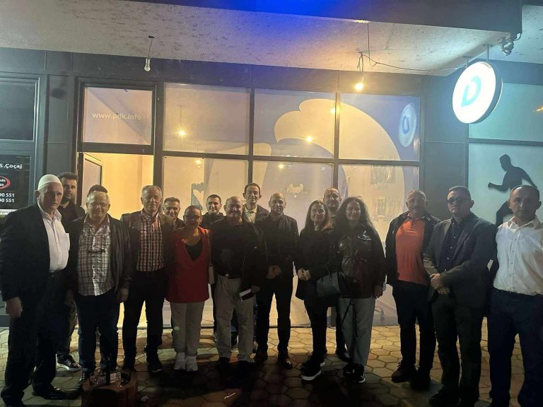 LDK në Prizren: Drejtorët e shkollave pjesë e fushatave politike të PDK-së