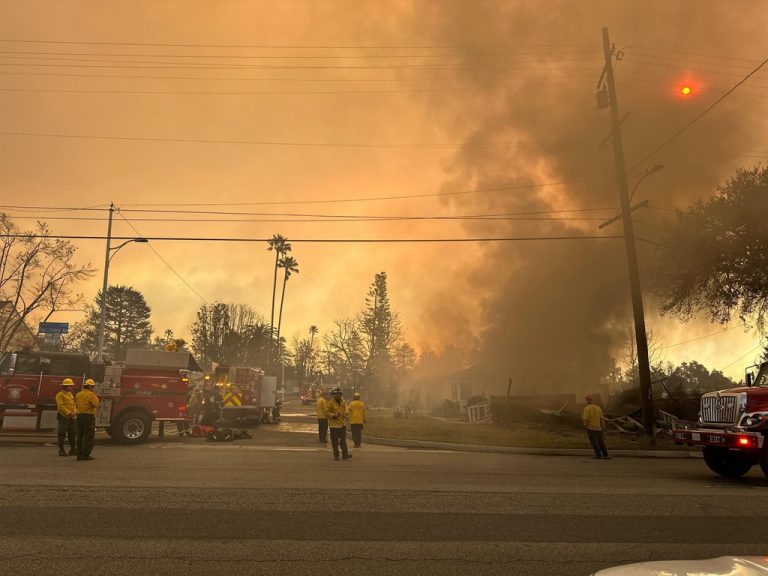 10 të vdekur nga zjarret në Los Angeles