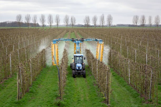 Fermerë, është koha për spërkatjen e pemëve kjo ndihmon në parandalimin e shumë sëmundjeve
