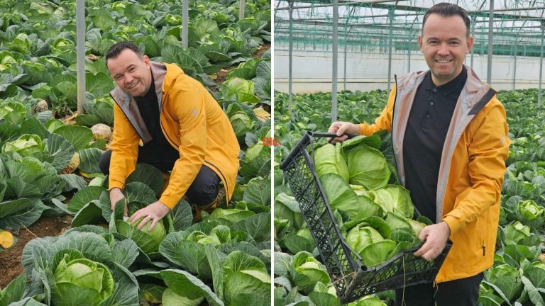 Peci thotë se investimi në bujqësi ka shtuar eksportet e lakrës nga 122,539 euro në 991,397 euro