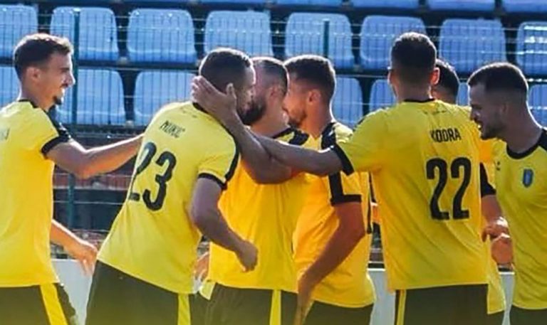 Suhareka lufton për mbijetesë, Malisheva për Europë