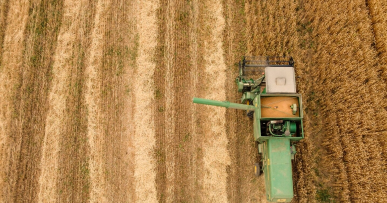 Hapet thirrja për aplikim për subvencione