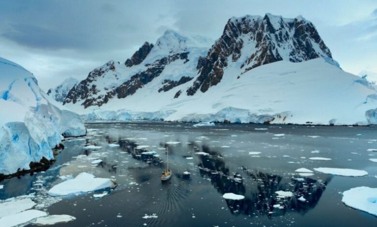 Shkencëtarët filmojnë një krijesë ‘gjigante’ duke notuar në brigjet e Antarktidës