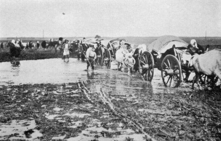 Sesion shkencor përkujtimor për 80-vjetorin e riokupimit të Kosovës dhe masakrës së Tivarit