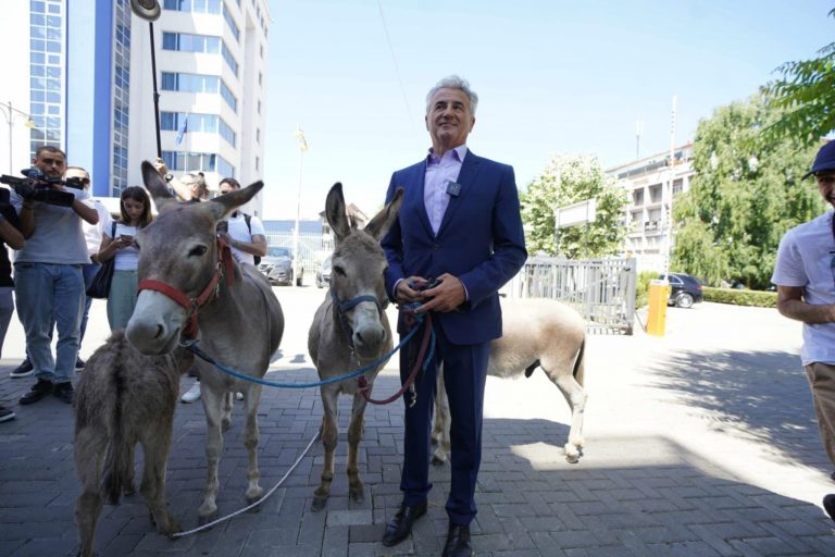 Avokati Arianit Koci me gomarë para Kuvendit