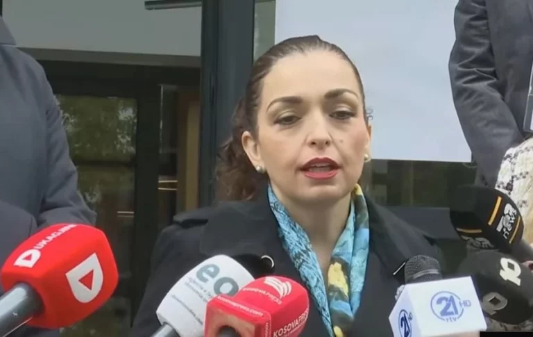 Osmani: Sa më masive pjesëmarrja në procese zgjedhore, aq më e fortë demokracia