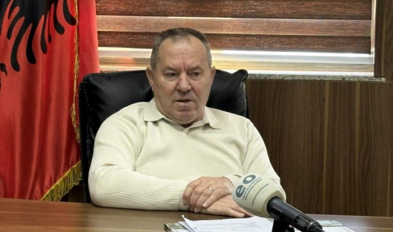 Gucati: Kemi kërkuar që të mos ketë kufitarë serbë në ditën e protestës në Shkup